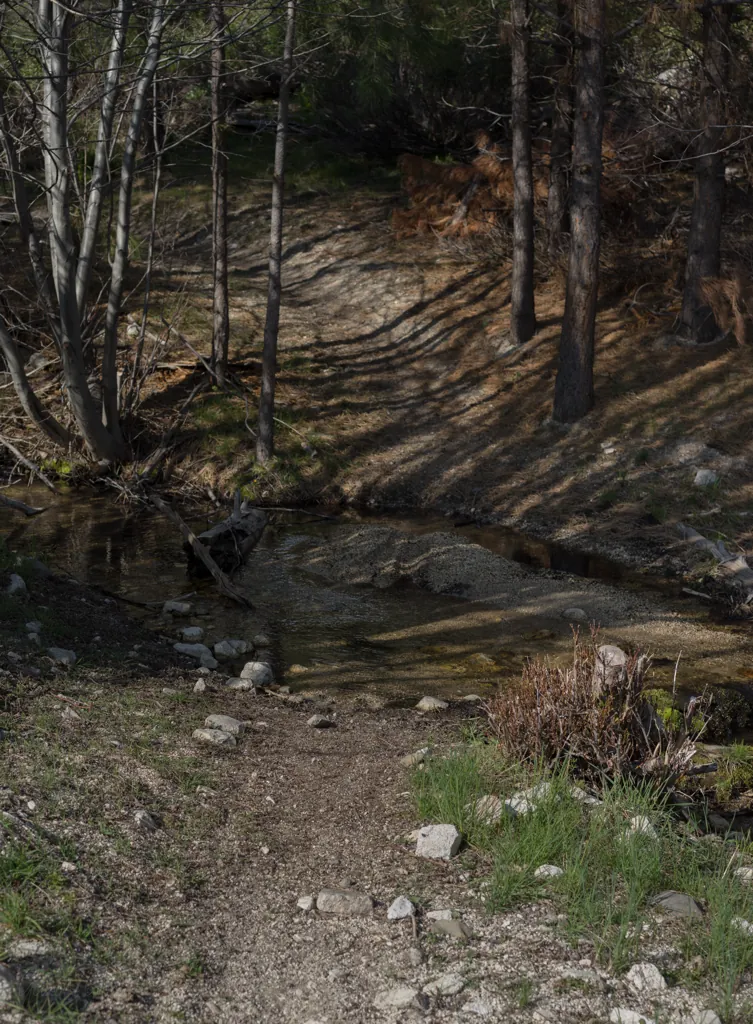 Devil Creek trailhead