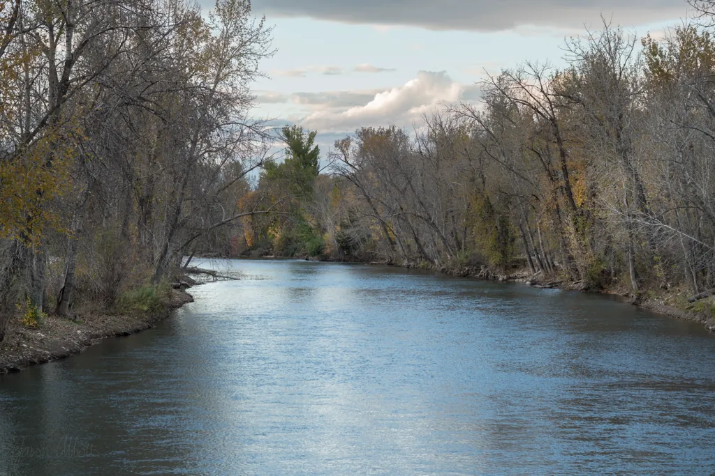 Afternoon river