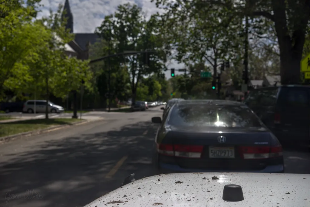 Sunday driver