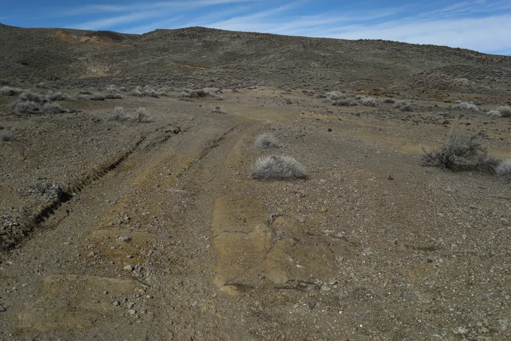 Wagon tracks?