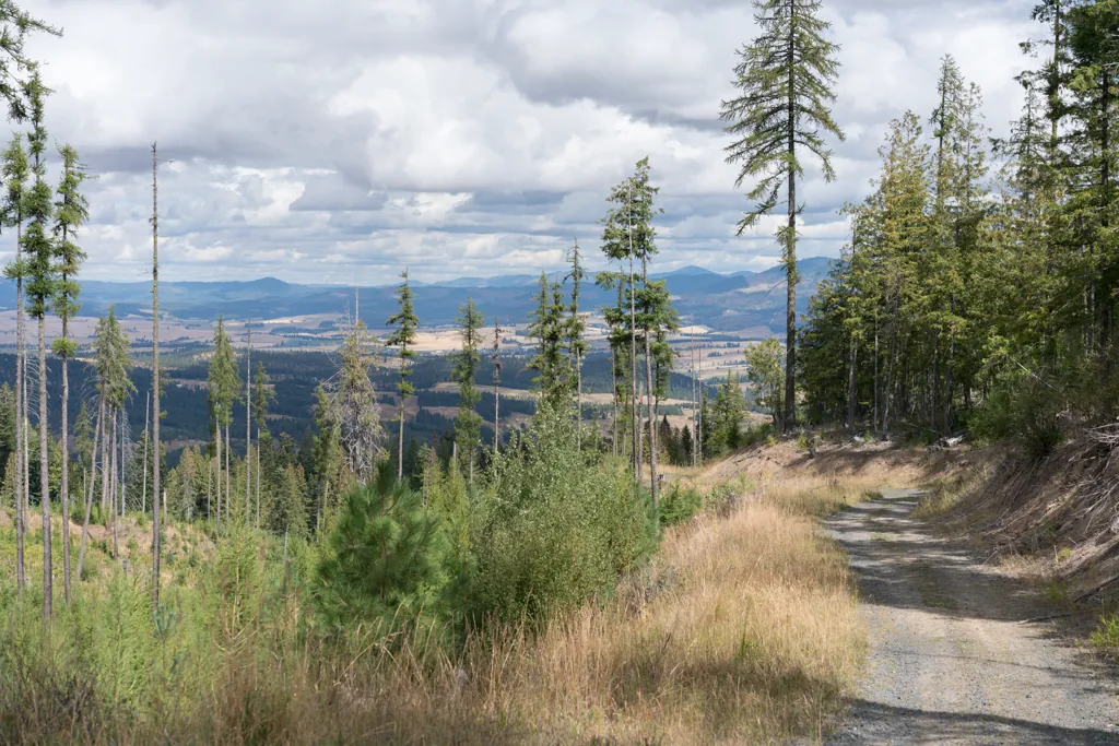 Moscow Mountain