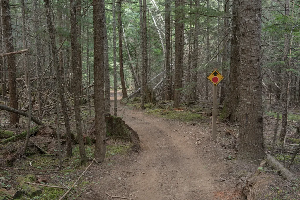 Forest signage
