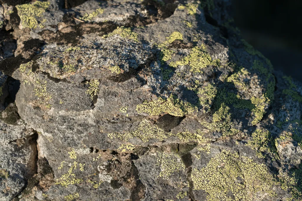 Camouflage