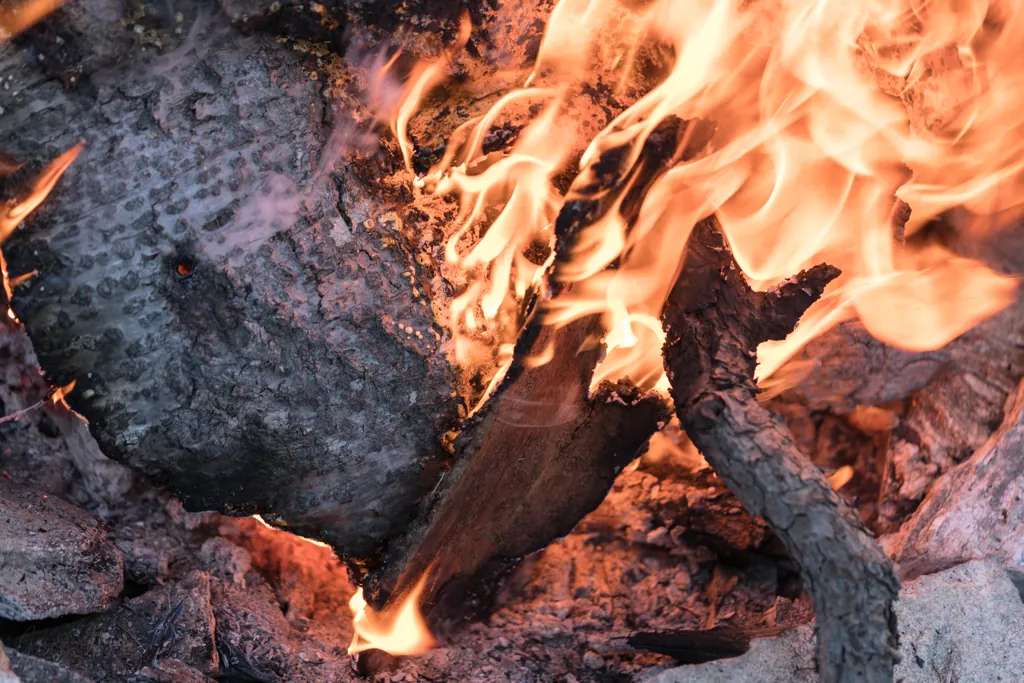A Jeremy bark furnace