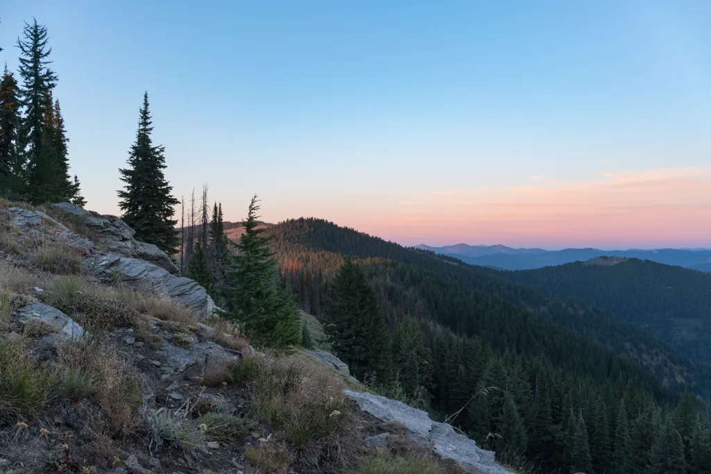 Pink horizon