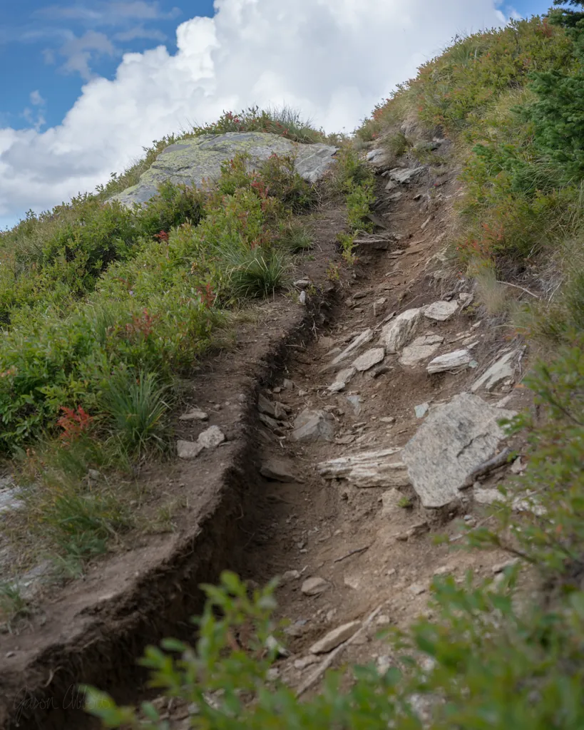 Switchback