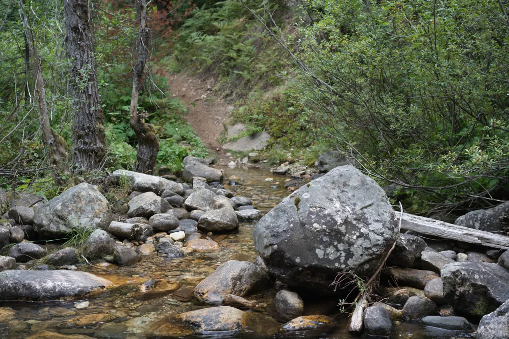 Homestead Creek