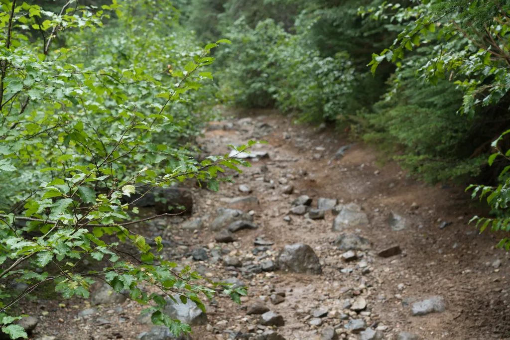 Lost Lake Trail