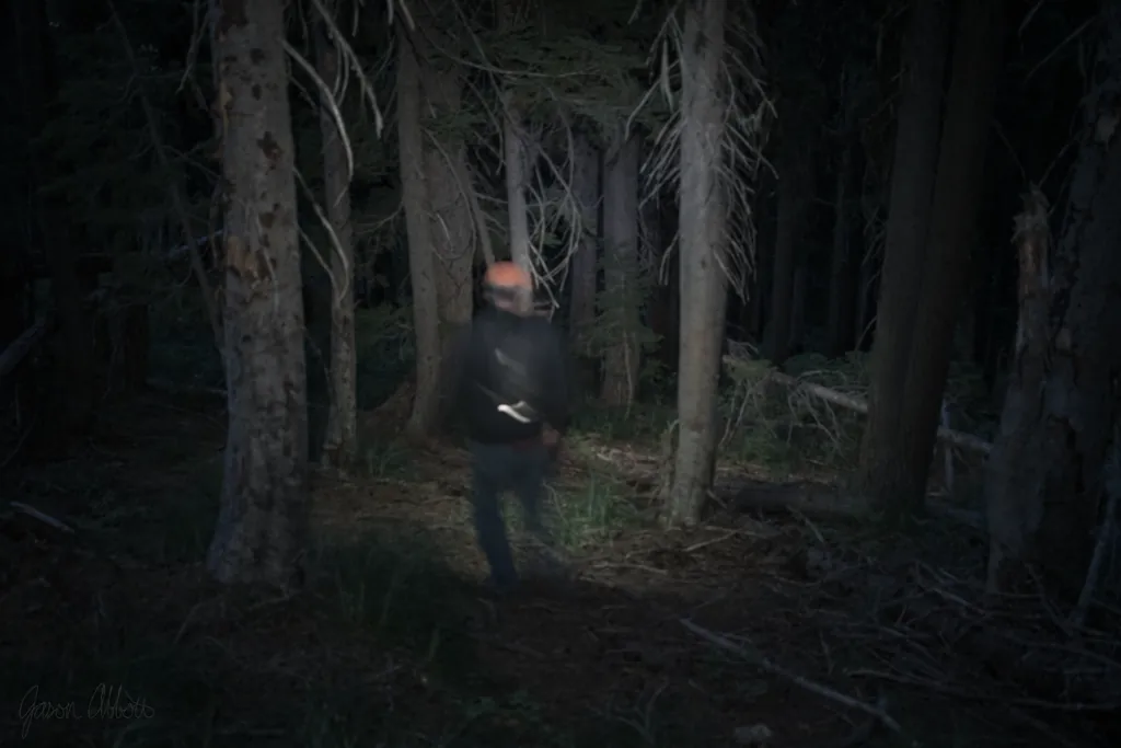 Dark woods