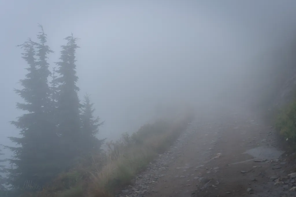 Lost in fog
