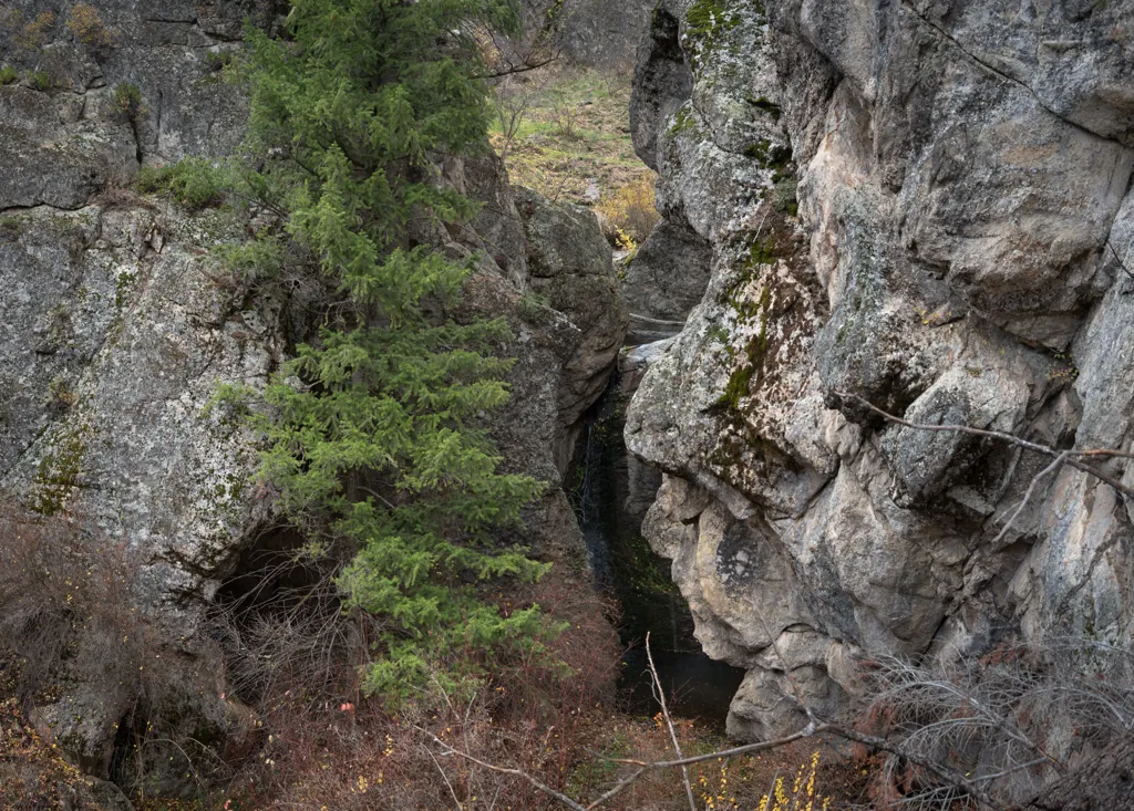 Hidden falls