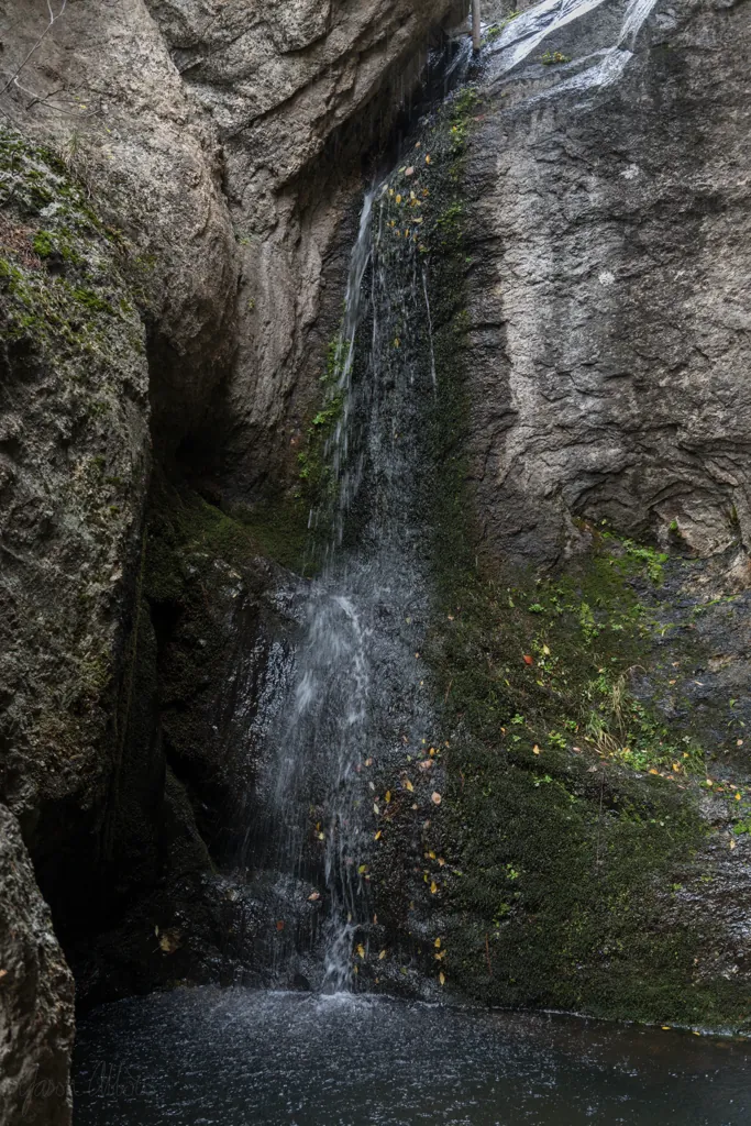 Trickle
