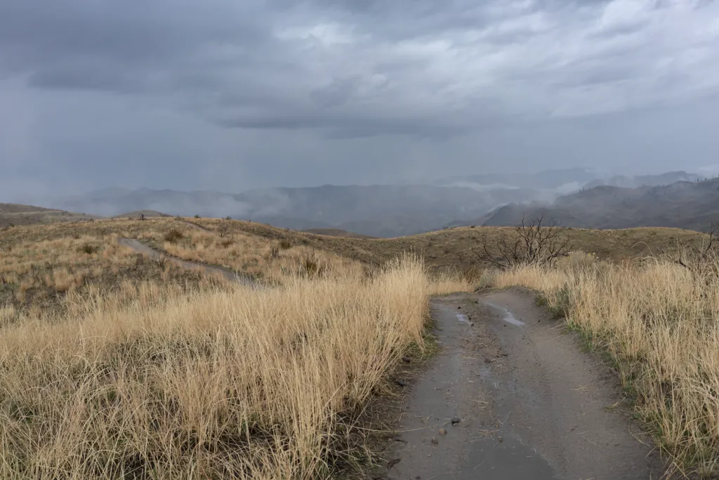 Showers on the ridge