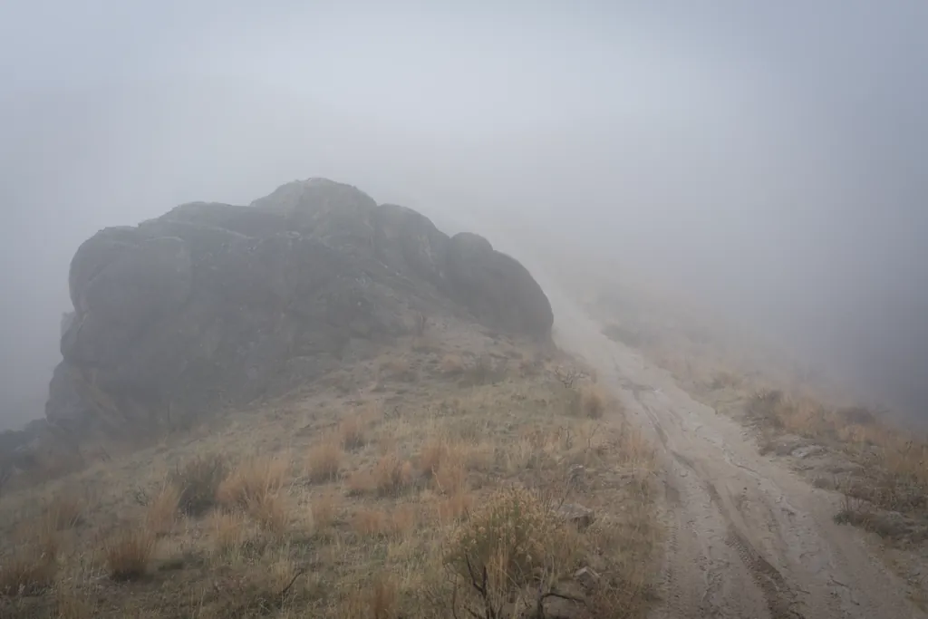 Lurking in the mist