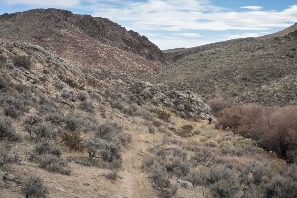 Across Diamond Creek