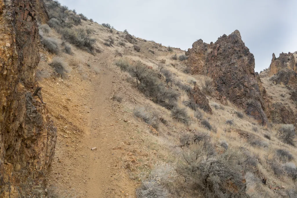 Orange trail