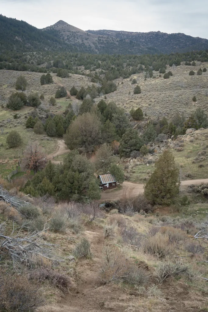 Cabin