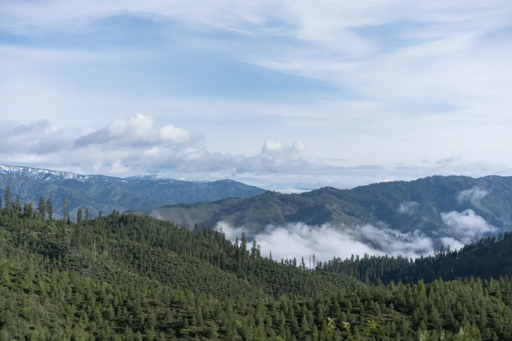 Lowman clouds