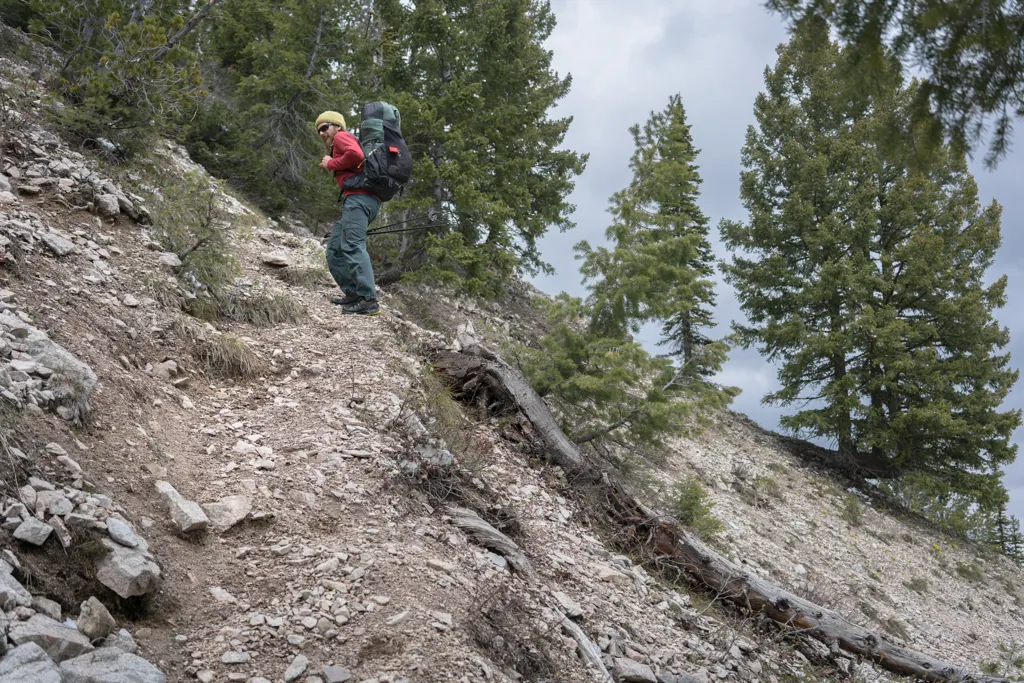 Switchback