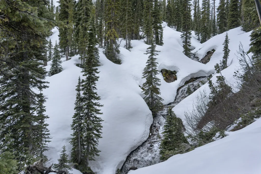 Snow level