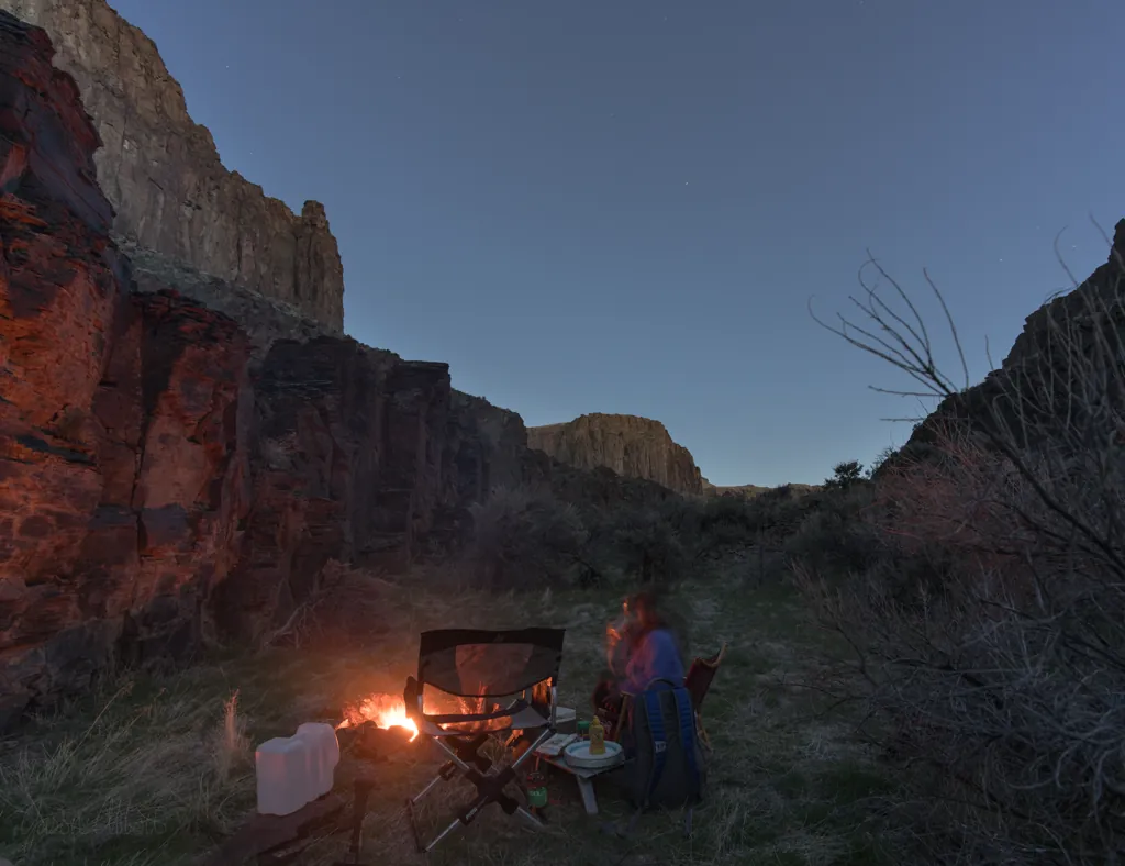 Hot dog dinner