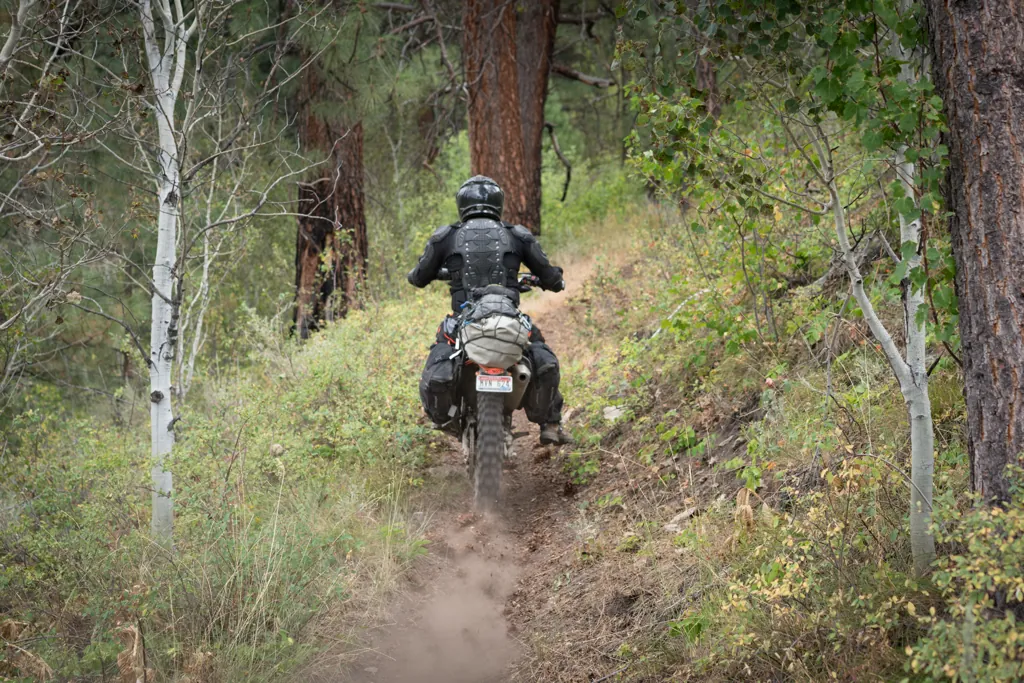 First trail