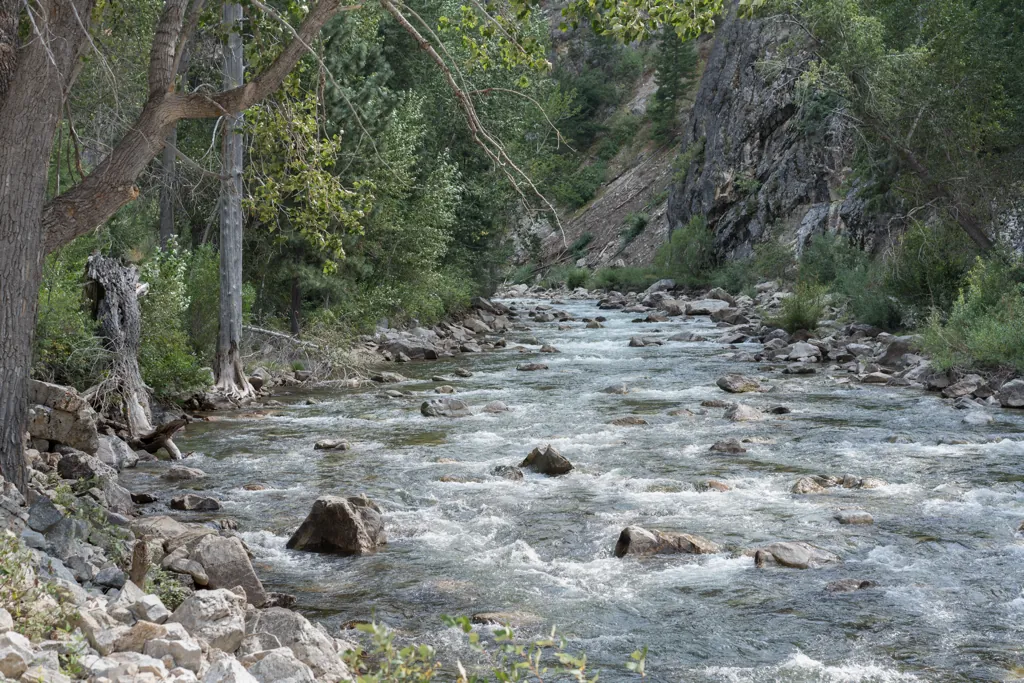 South Fork
