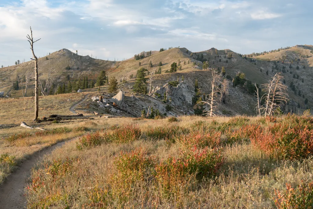 Ridgeline