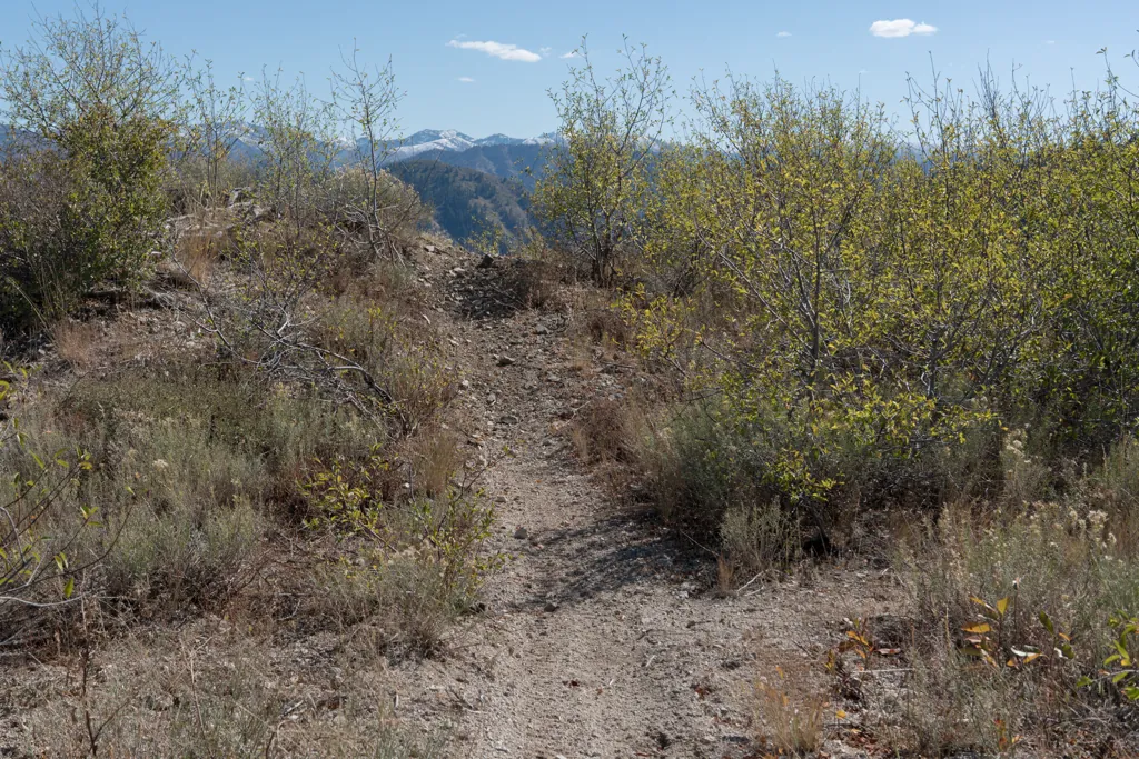 Ridgeline