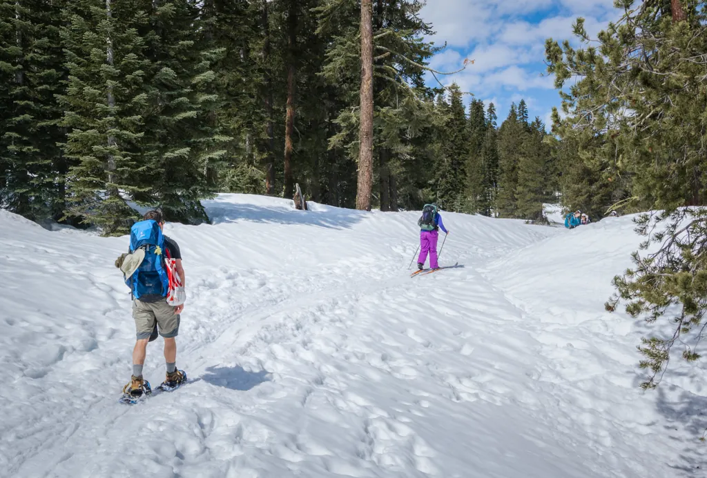 Snowshoes*