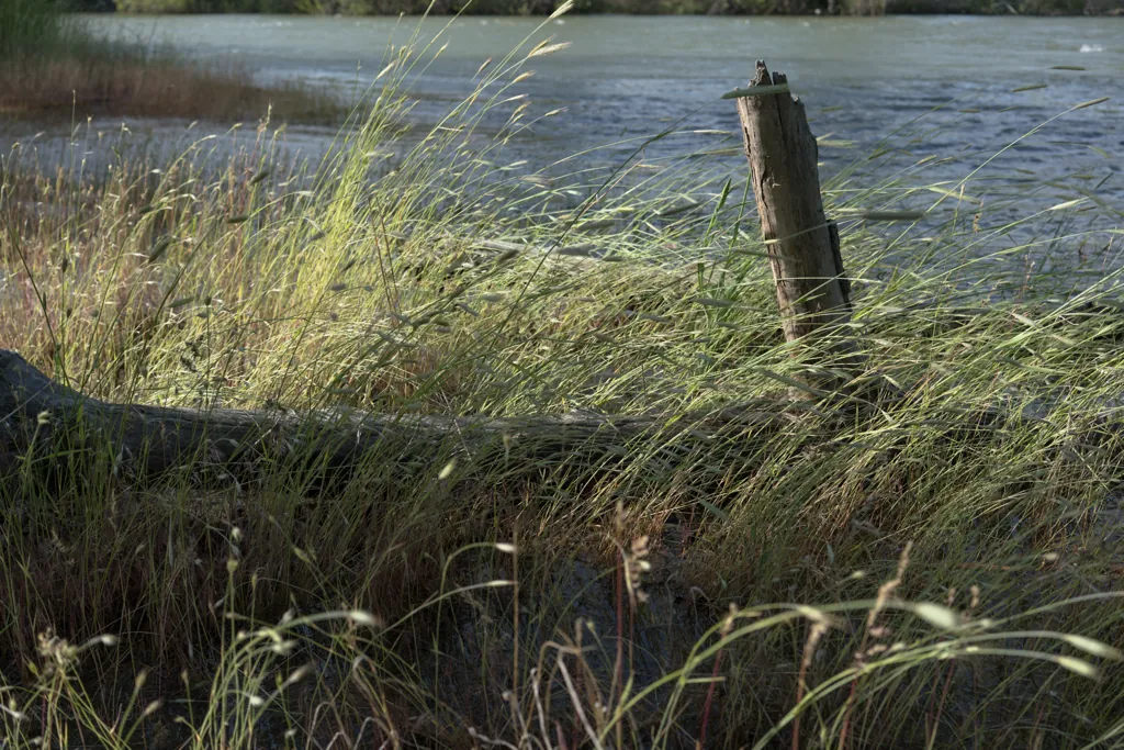 Marsh