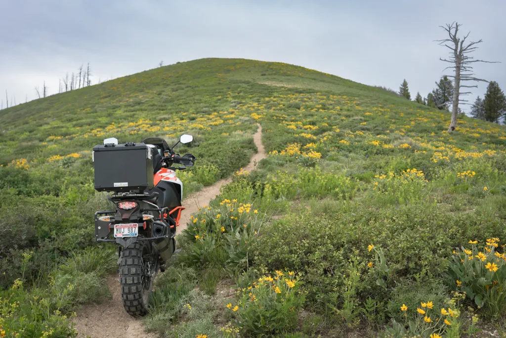 Taking the high road