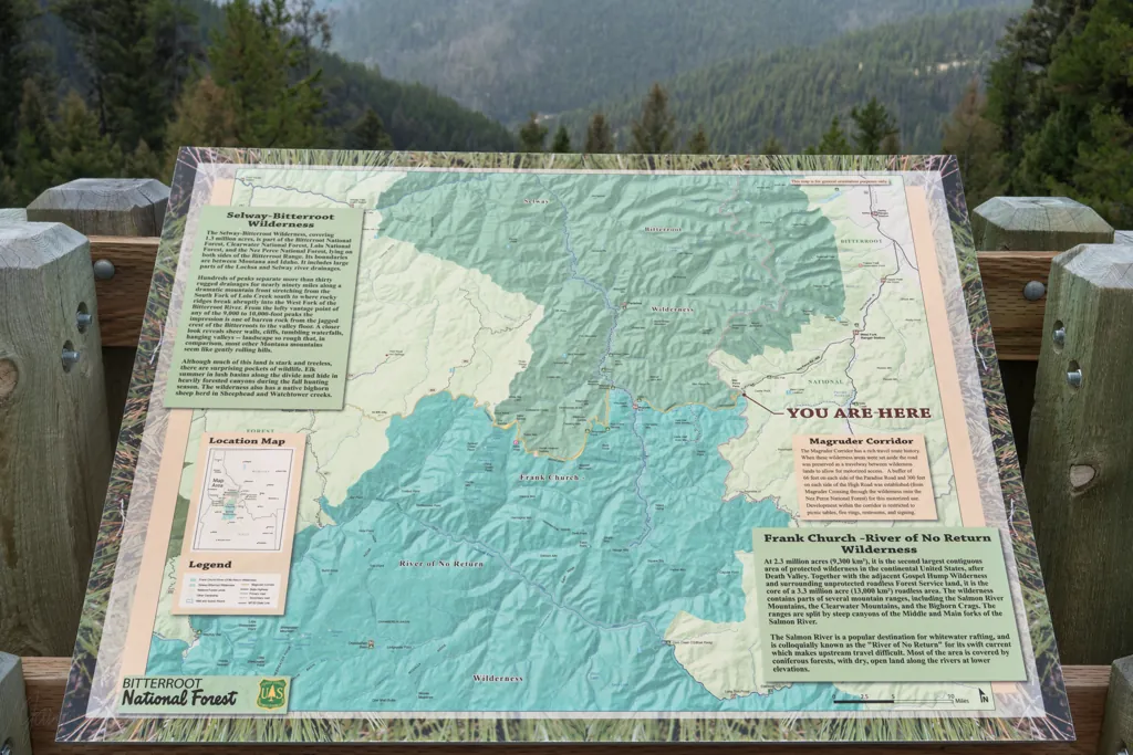 You are here