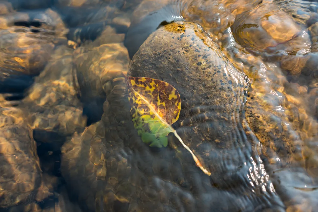Pinned underwater