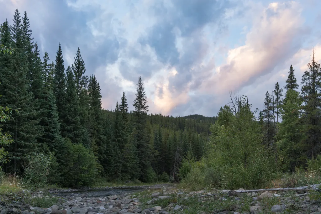 Racehorse Creek