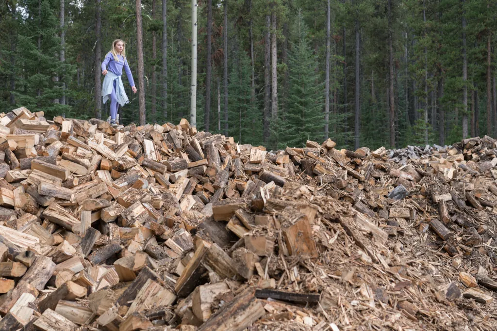 Bit of wood