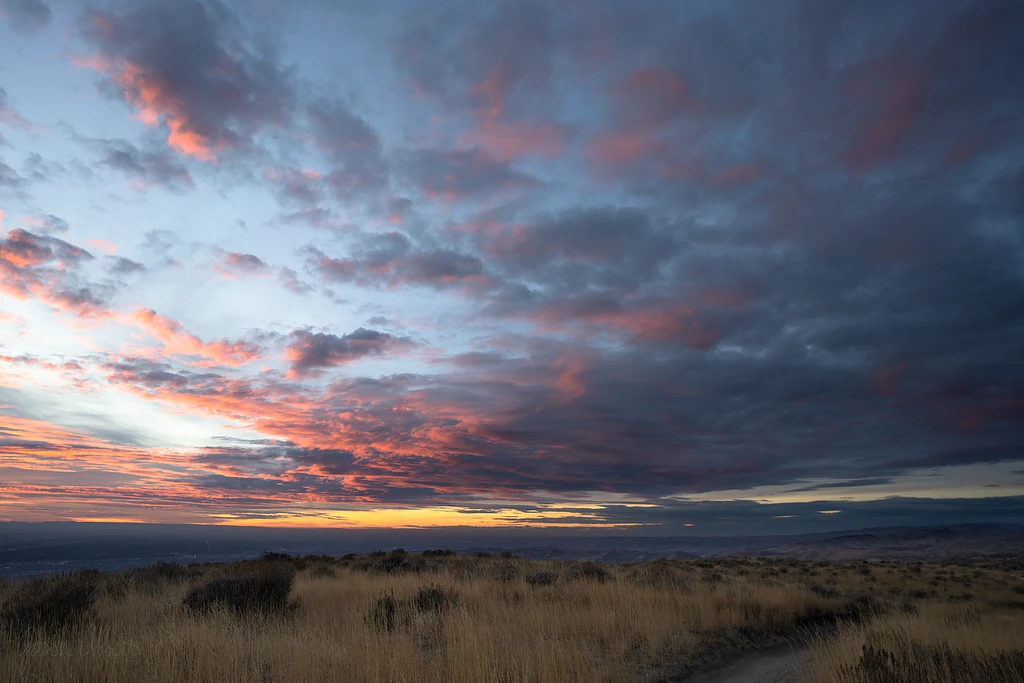 Westward