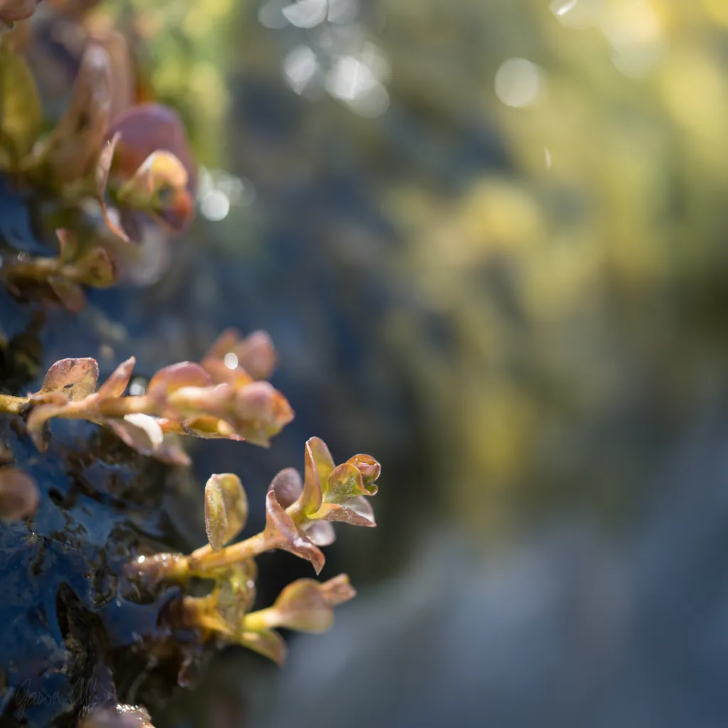 Spring ahead